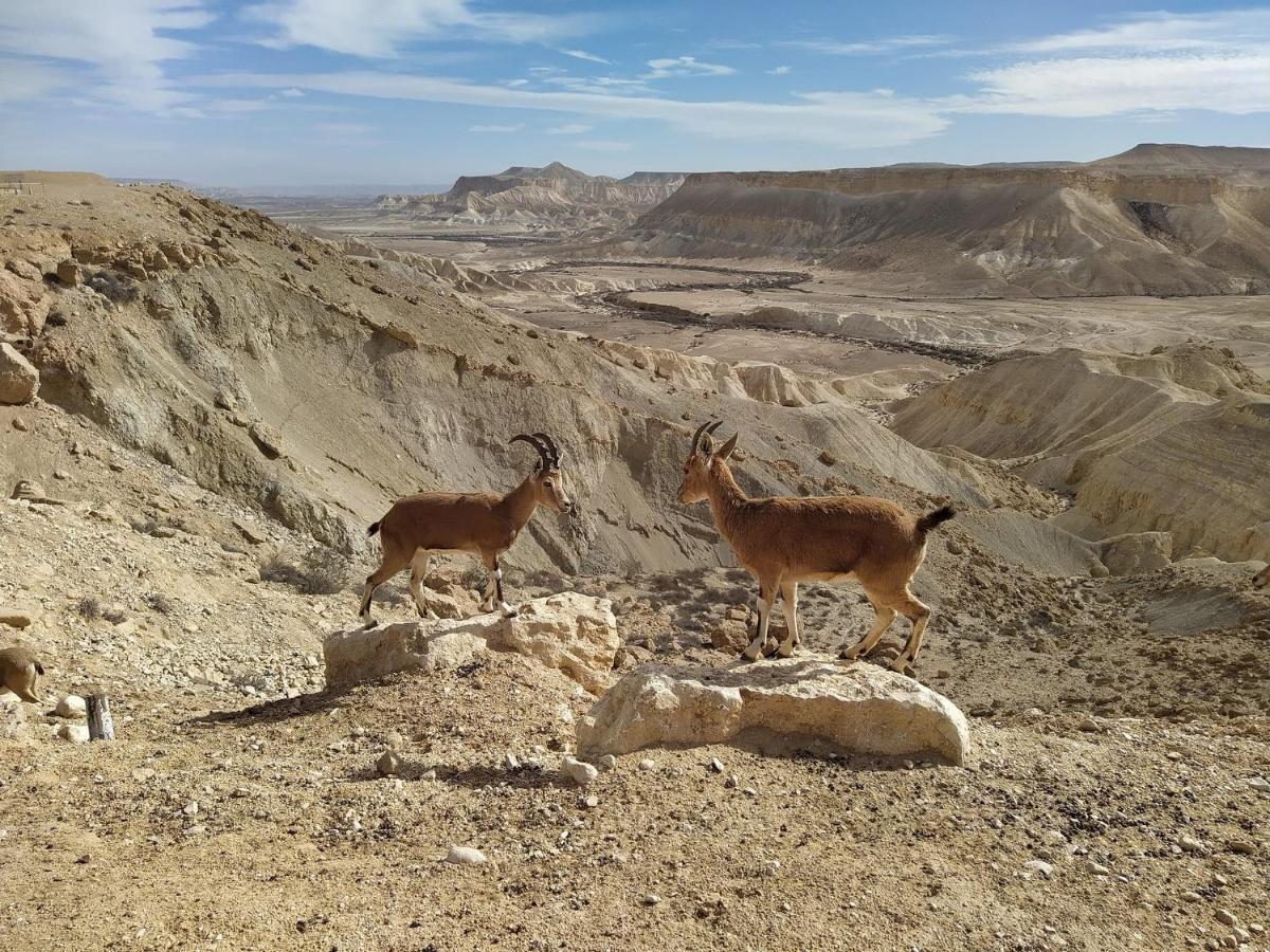 Glezant Apartment Mitzpe Ramon Bagian luar foto